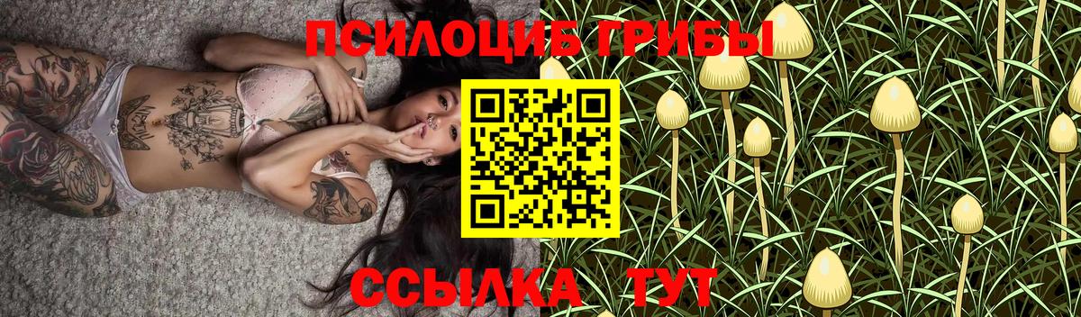 Жигулёвск  Псилоцибиновые грибы MAGIC MUSHROOMS  Вход с VPN 